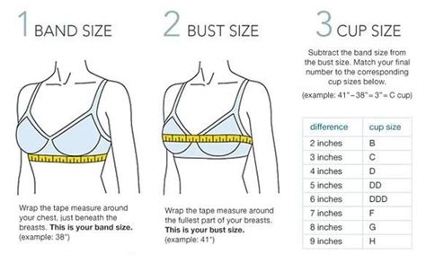 How To Measure Bra Size By Yourself Howto
