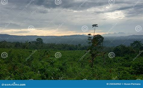 Such A Beautiful Green Valley Stock Photo Image Of Landscape