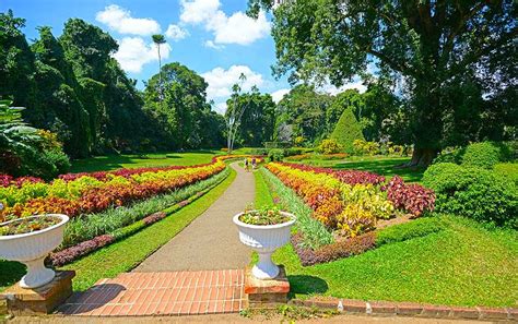 Royal Botanical Gardens Peradeniya Timings Entrance Fee History