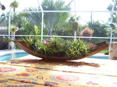 Loppers provide you with plenty of cutting. 20 best Palm tree seed pod ideas images on Pinterest ...