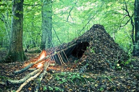 Learn The Basics Of Outdoor Survival Ex Military Survivalist Guide
