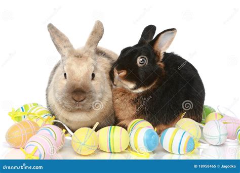 Cute Easter Bunnies With Colored Eggs Stock Image Image Of Cute
