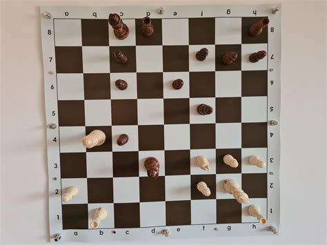 not sure it classes as chess porn exactly but i made a magnetic 20 board for our dining room