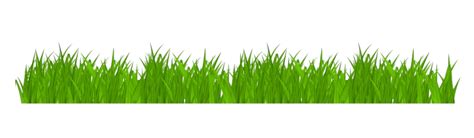 Green Grass With Color Gradations Vector Grass Green Grass Green Png