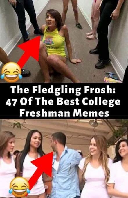 Trendy Humor Hilarious Adulthood 36 Ideas Freshman Memes College Fun Funny Moments