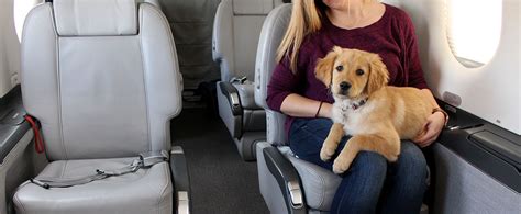 So one of the joys of having a dog is being able to travel with it. Flying with Pets: They Don't Have to "Ruff" It When They Travel