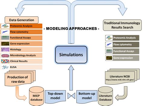 Computational Modeling Nutritional Immunology And Molecular Medicine