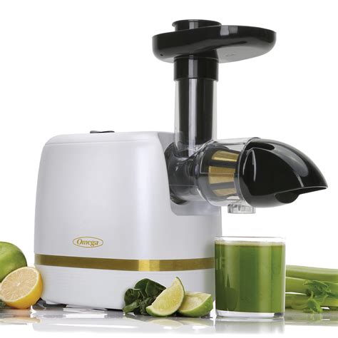 Buy Omega H3000rwh13 Cold Press 365 Juicer Slow Masticating Extractor