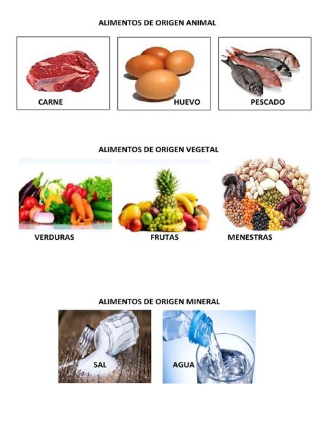 Alimentos Origen Animal Vegetal Mineral Pdf