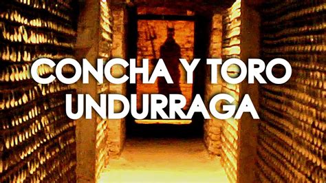 Como Visitar Concha Y Toro Viña Undurraga Youtube