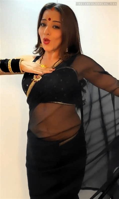 Antara Biswas Monalisa Reels Hot Transparent Saree Hd Photo