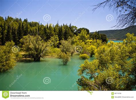 Yellow Trees In Turquoise Lake In Blue Sky Stock Photo Image Of Blue