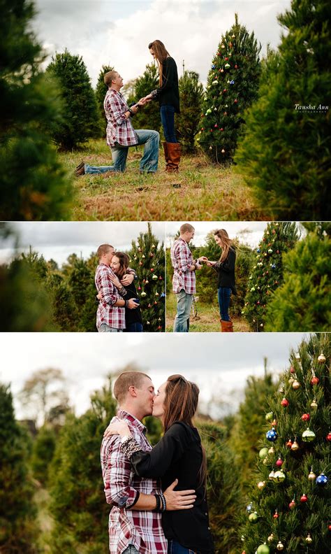 Surprise Proposal At Country Cove Christmas Tree Farm Nashville