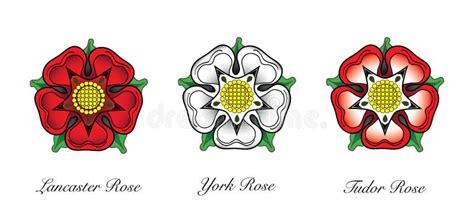 Royal Badge Of Englandheraldic Tudor Rose Stock Vector Illustration