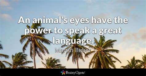 An Animals Eyes Have The Power To Speak A Great Language Martin Buber