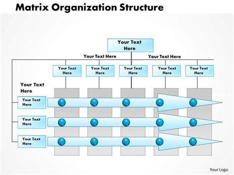 Organizational Structure Matrix Ppt Sample Presentati