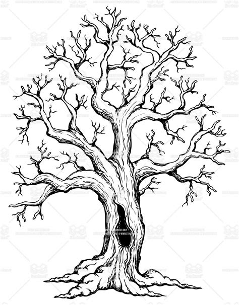 Tree Theme Drawing 1 Oak Tree Drawings Tree Drawing Oak Tree Tattoo