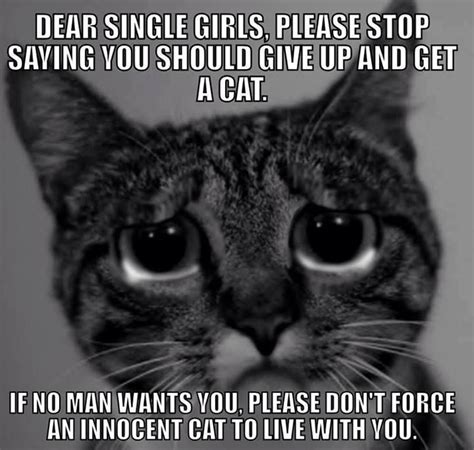 Cat Lady Funny Quotes Image Quotes At