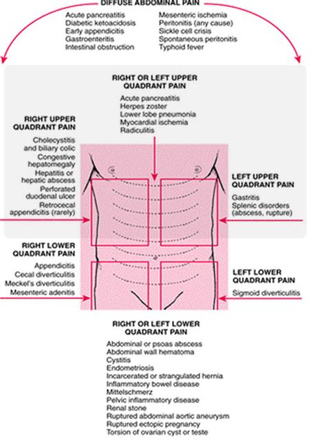 Upper Left And Right Abdominal Pain Causes And Treatment