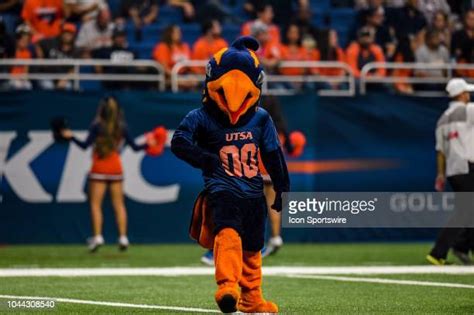 Roadrunner Mascot Photos And Premium High Res Pictures Getty Images