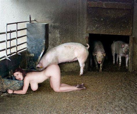Naked Woman Riding A Pig