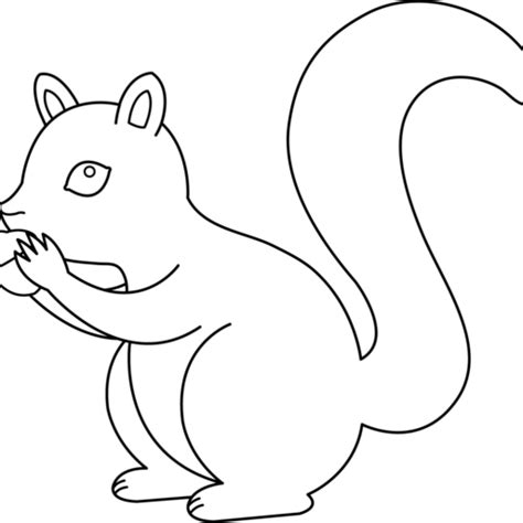 Clipart Squirrel Easy Clipart Squirrel Easy Transparent Free For