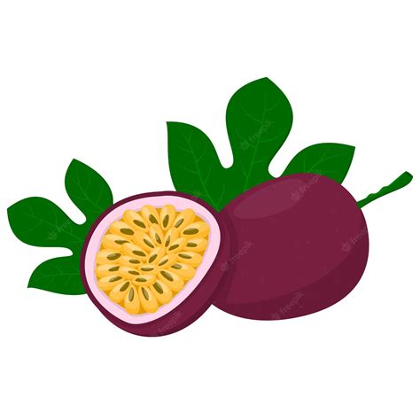 Premium Vector Whole Passion Fruit With Halved Passion Fruit Cartoon Style Vector Illustration