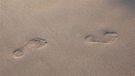 脚印沙子 库存图片 图片 包括有 脚印沙子