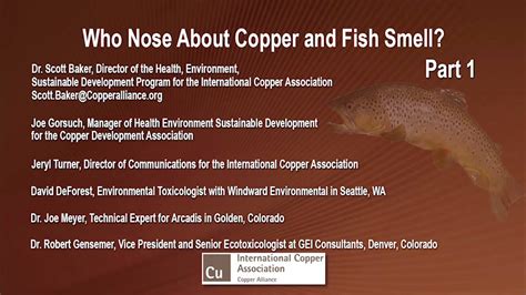 If the smell comes from the hot water only, the problem is likely the water heater. Who Nose About Copper and Fish Smell? Part 1 - YouTube