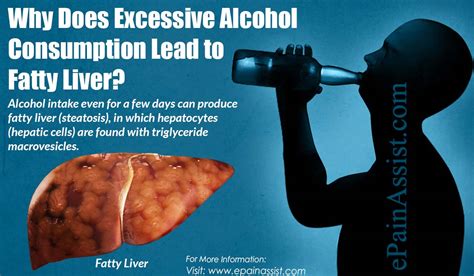 Why Does Excessive Alcohol Consumption Lead To Fatty Liver