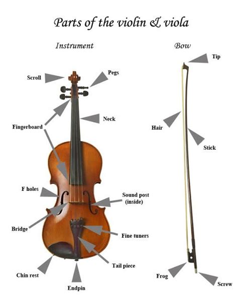 Parts Of A Viola Bow
