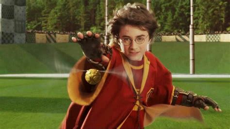 One Shots De Harry Potter Terminada El Quidditch Te Comi El My Xxx