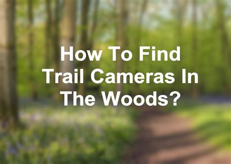 How To Find Trail Cameras In The Woods Find Trail Cameras On Your Property