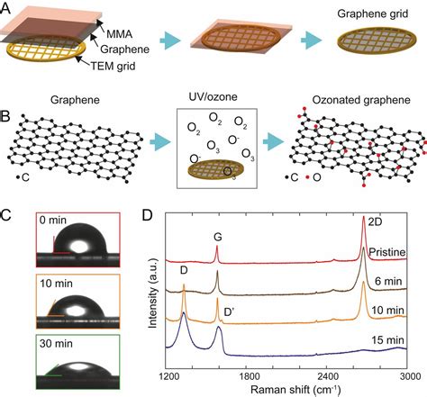 High Yield Monolayer Graphene Grids For Near Atomic Resolution