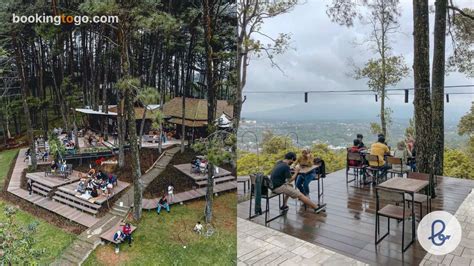 Cafe Pasir Angin Pas Bogor Tempat Ngopi Di Tengah Hutan Pinus Yang Menawan