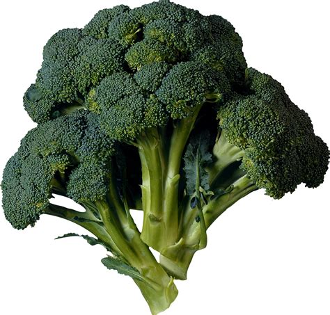 Broccoli Png Image Transparent Image Download Size 1281x1226px