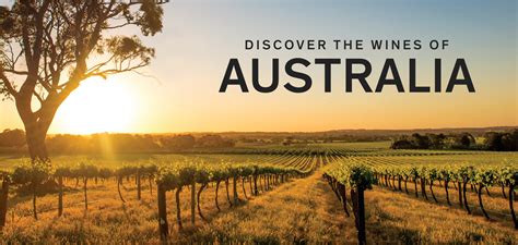 Discover The Wines Of Australia