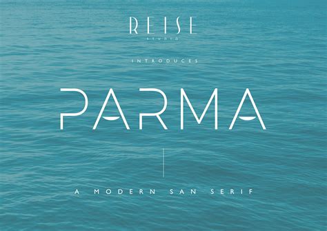 Display Font, San Serif, Lettering, Branding Fonts, Logo Font, Chic