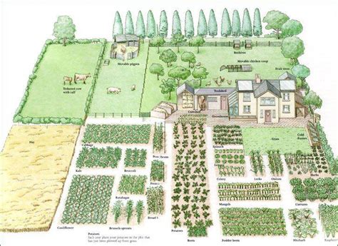 Acre Homestead Layout Garden Design Vegetable Jhmrad 8321