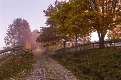 901 Colorful Autumn Landscape Mountain Village Foggy Morning Stock