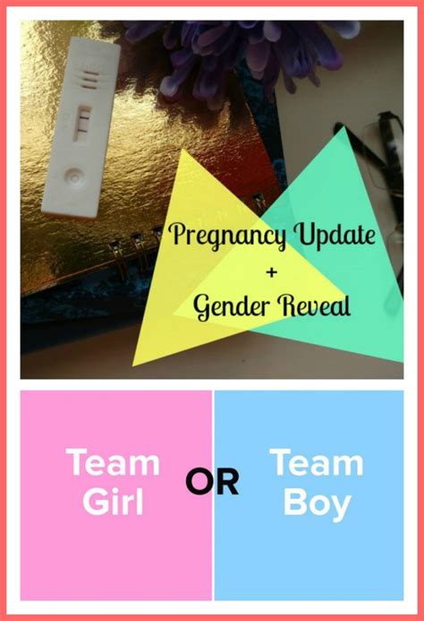 Pregnancy Update Gender Reveal The Mommy Blog