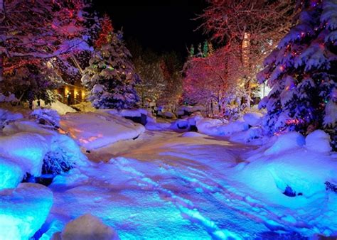 Snow Covered Winter Wonderland Backdrop Christmas Night Photography
