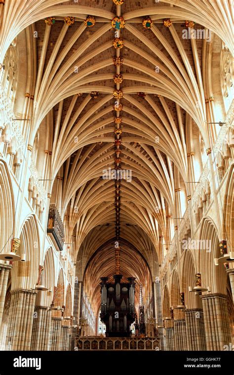 Vault Ceiling Of Exeter Cathedral Hi Res Stock Photography And Images