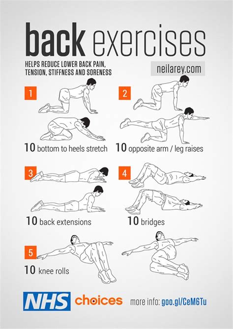 Back Exercises Printable Workout Sheet Flexibility Workout Back