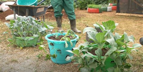 Kenya Launches A Million Kitchen Gardens Farming Initiative