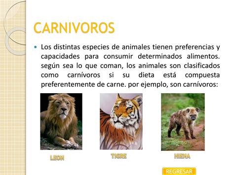 Ppt ClasificaciÓn De Los Animales Powerpoint Presentation Free