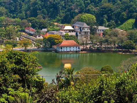 Best Things To Do In Kandy Sle