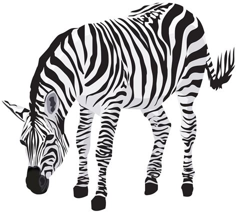 Zebra Clip Art Free