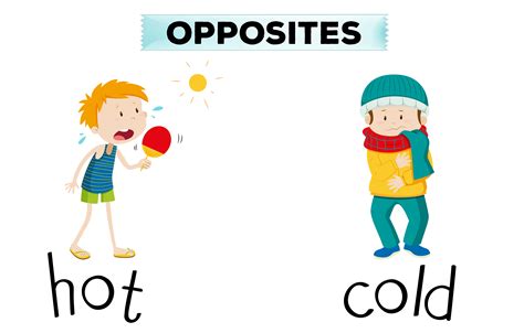 opposite words for hot and cold 300144 vector art at vecteezy