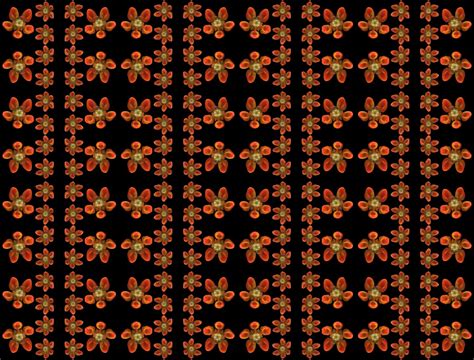 Orange Flower Pattern Free Photo Download Freeimages